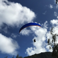 IMG 0018
